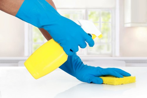 Home cleaning essentials arranged for regular cleaning routines