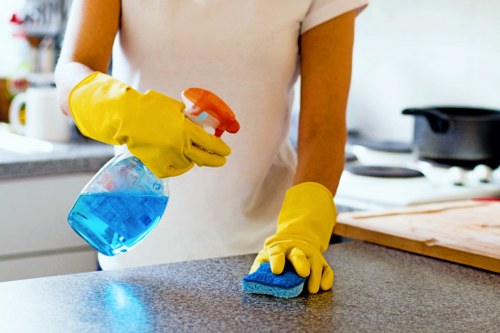 Kitchen surface cleaning as part of domestic cleaning