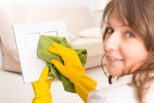 Professional cleaner preparing a living room for move-out inspection