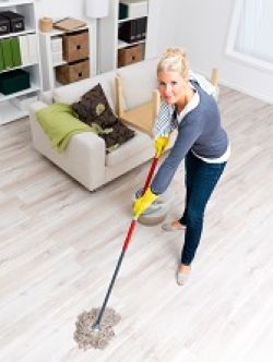 Domestic Cleaning SE16